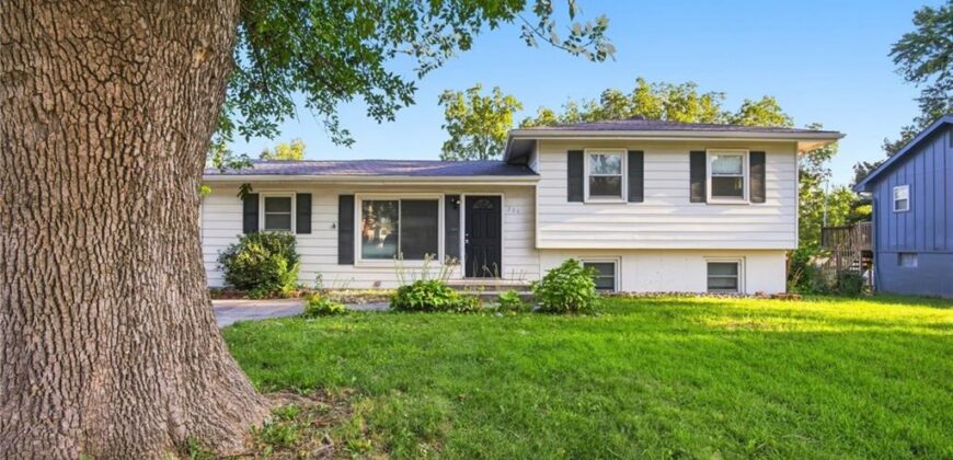 204 Meade Street, Liberty, MO 64068