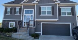 11611 N Crystal Avenue, Kansas City, MO 64156