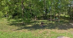 8225 NW Weatherby Drive, Weatherby Lake, MO 64152