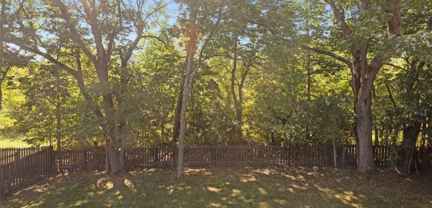 207 Lakeview Drive, Smithville, MO 64089