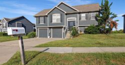 908 N Birch Street, Kearney, MO 64060