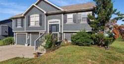 908 N Birch Street, Kearney, MO 64060
