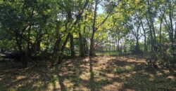 4331 NE Kelsey Road, Kansas City, MO 64116
