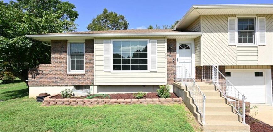 520 Thomas Drive, Platte City, MO 64079