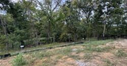 9008 N Everton Avenue, Kansas City, MO 64153