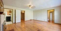 102 Collette Street, Excelsior Springs, MO 64024
