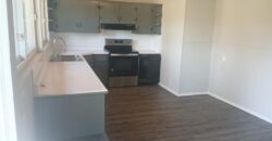 5323 Edgewood Circle, Houston Lake, MO 64151