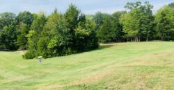 221 O’Rourke Drive, Platte City, MO 64079