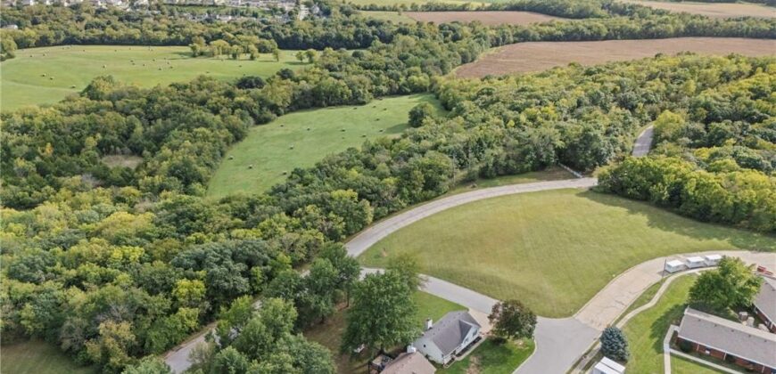 221 O’Rourke Drive, Platte City, MO 64079