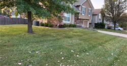 11200 N Lewis Avenue, Kansas City, MO 64157