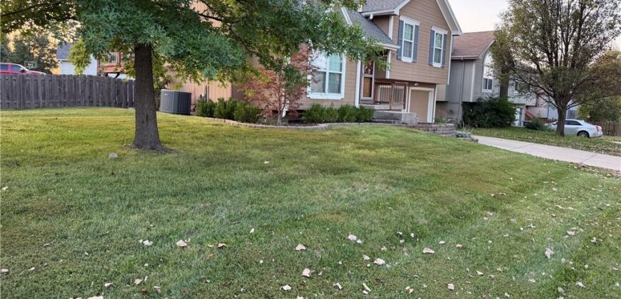 11200 N Lewis Avenue, Kansas City, MO 64157