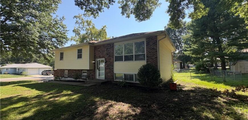 207 E 10th Street, Kearney, MO 6406