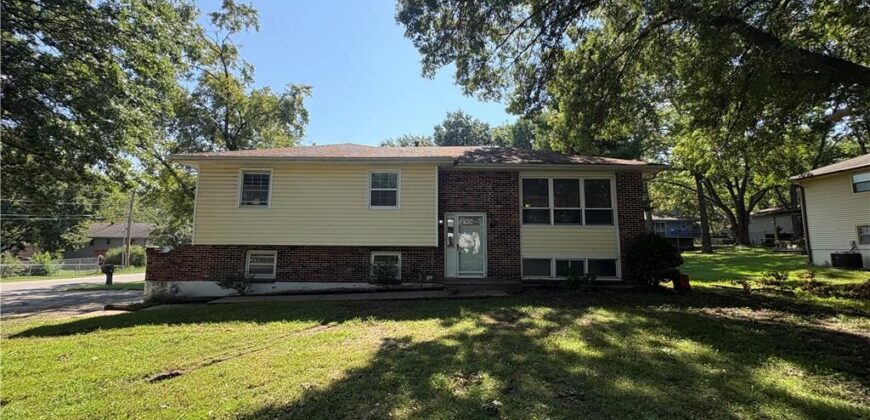 207 E 10th Street, Kearney, MO 6406