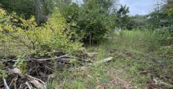 1405 Lynwood Court, Liberty, MO 64068