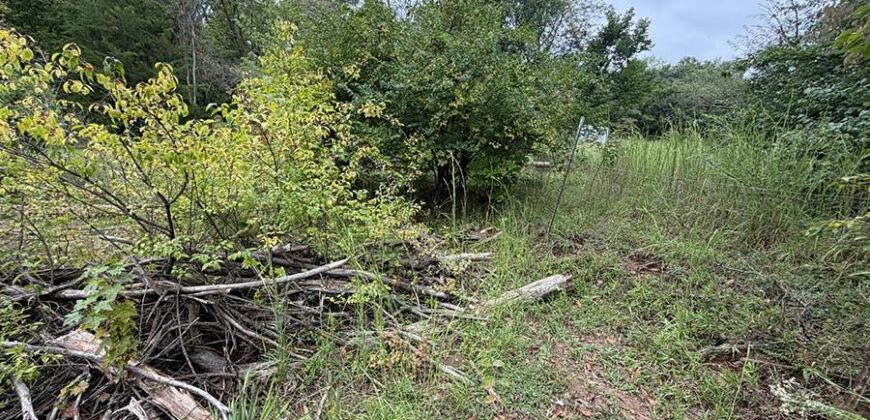 1405 Lynwood Court, Liberty, MO 64068