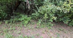 1405 Lynwood Court, Liberty, MO 64068