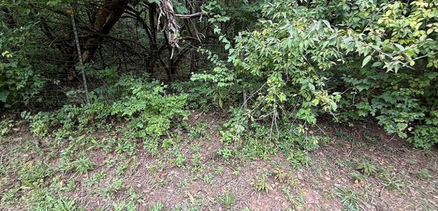 1405 Lynwood Court, Liberty, MO 64068