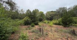 1405 Lynwood Court, Liberty, MO 64068