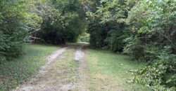 1405 Lynwood Court, Liberty, MO 64068