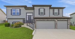 11718 N Manning Avenue, Kansas City, MO 64157