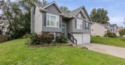 1100 Susan Street, Kearney, MO 64060