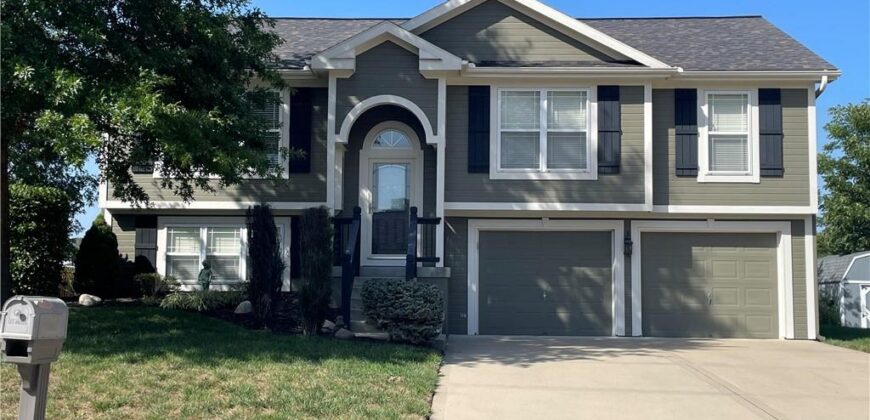 920 E 8th St Circle, Kearney, MO 64060