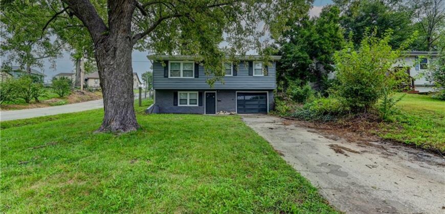 217 Woods Avenue, Excelsior Springs, MO 64024