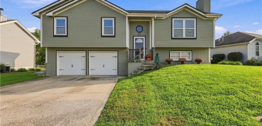 1007 Golden Avenue, Excelsior Springs, MO 64024