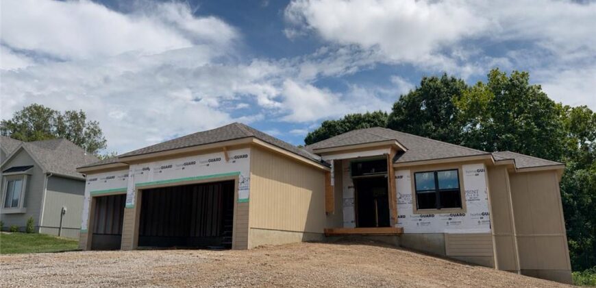 10787 Genesis Drive, Parkville, MO 64152