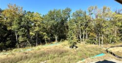 9004 N Everton Avenue, Kansas City, MO 64153