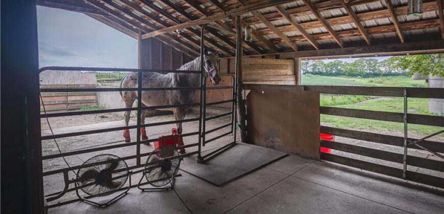 Francis Road, Kearney, MO 64060
