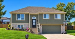 1010 E 16th Street, Kearney, MO 64060