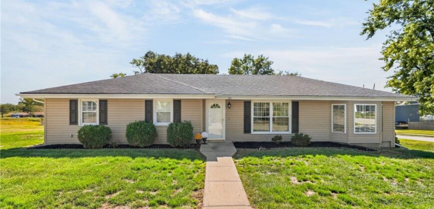 301 2nd Street, Smithville, MO 64089