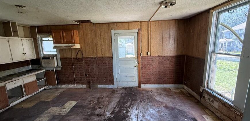 503 Benton Avenue, Excelsior Springs, MO 64024