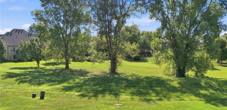 2113 Greenfield Point, Kearney, MO 64060