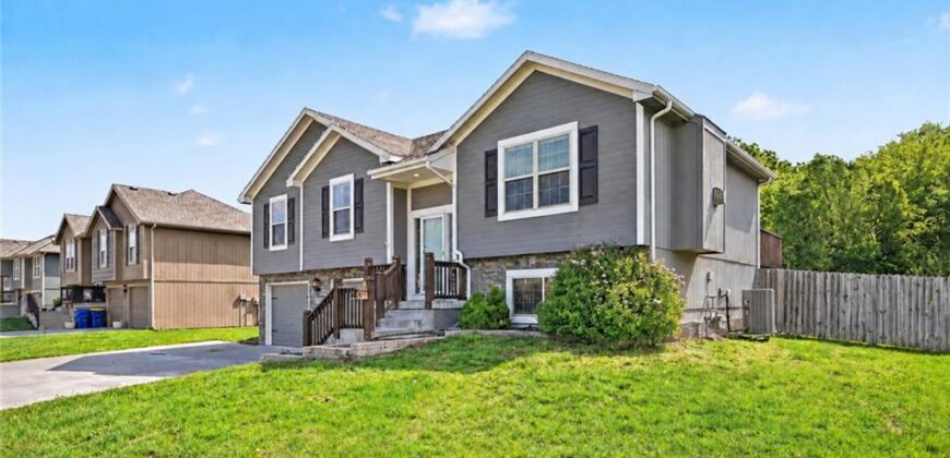 19205 Switchgrass Drive, Smithville, MO 64089
