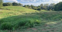 21755 Grass Pad Road, Platte City, MO 64079