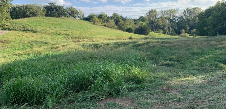 21755 Grass Pad Road, Platte City, MO 64079