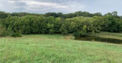 21755 Grass Pad Road, Platte City, MO 64079