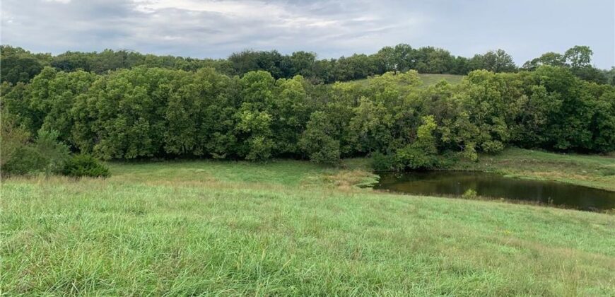 21755 Grass Pad Road, Platte City, MO 64079