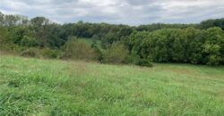 21755 Grass Pad Road, Platte City, MO 64079