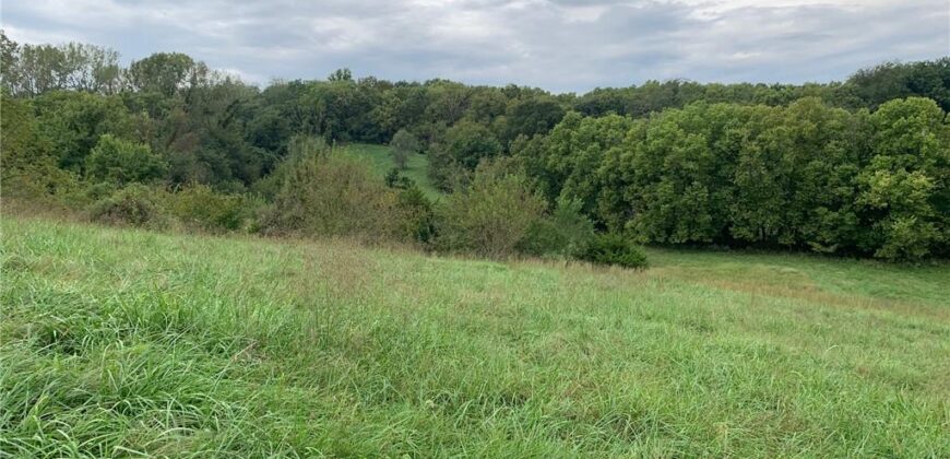 21755 Grass Pad Road, Platte City, MO 64079