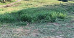 21755 Grass Pad Road, Platte City, MO 64079