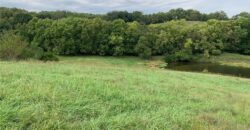 21755 Grass Pad Road, Platte City, MO 64079