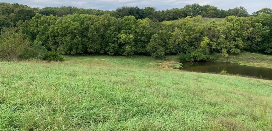 21755 Grass Pad Road, Platte City, MO 64079
