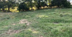 21755 Grass Pad Road, Platte City, MO 64079