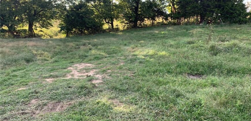 21755 Grass Pad Road, Platte City, MO 64079
