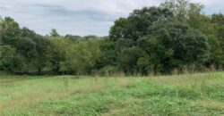21755 Grass Pad Road, Platte City, MO 64079
