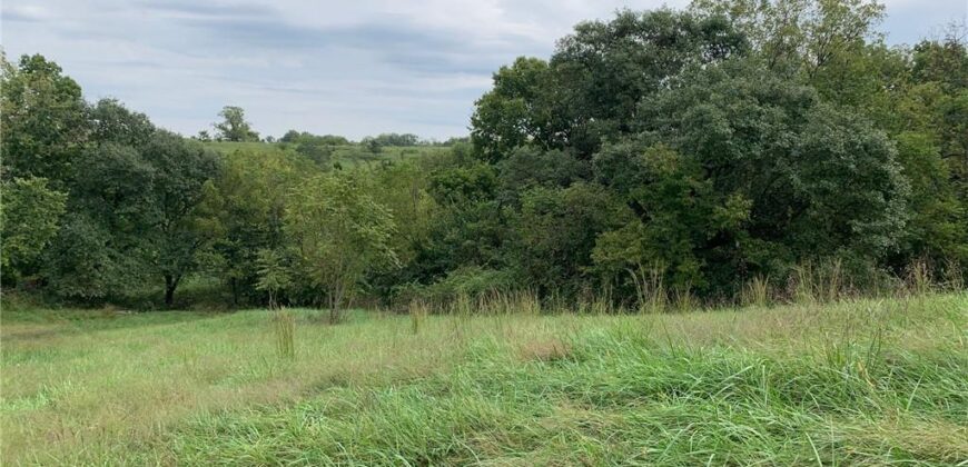 21755 Grass Pad Road, Platte City, MO 64079