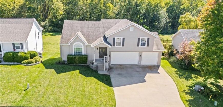 15515 NW 127 Street, Platte City, MO 64079